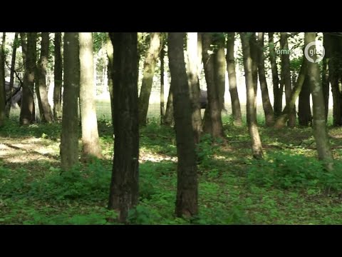 GLD Nieuws 11 september 2017