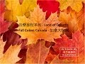 " Land of Dreams - Rosanne Cash " 加拿大秋楓 Fall Colors Ontario Canada