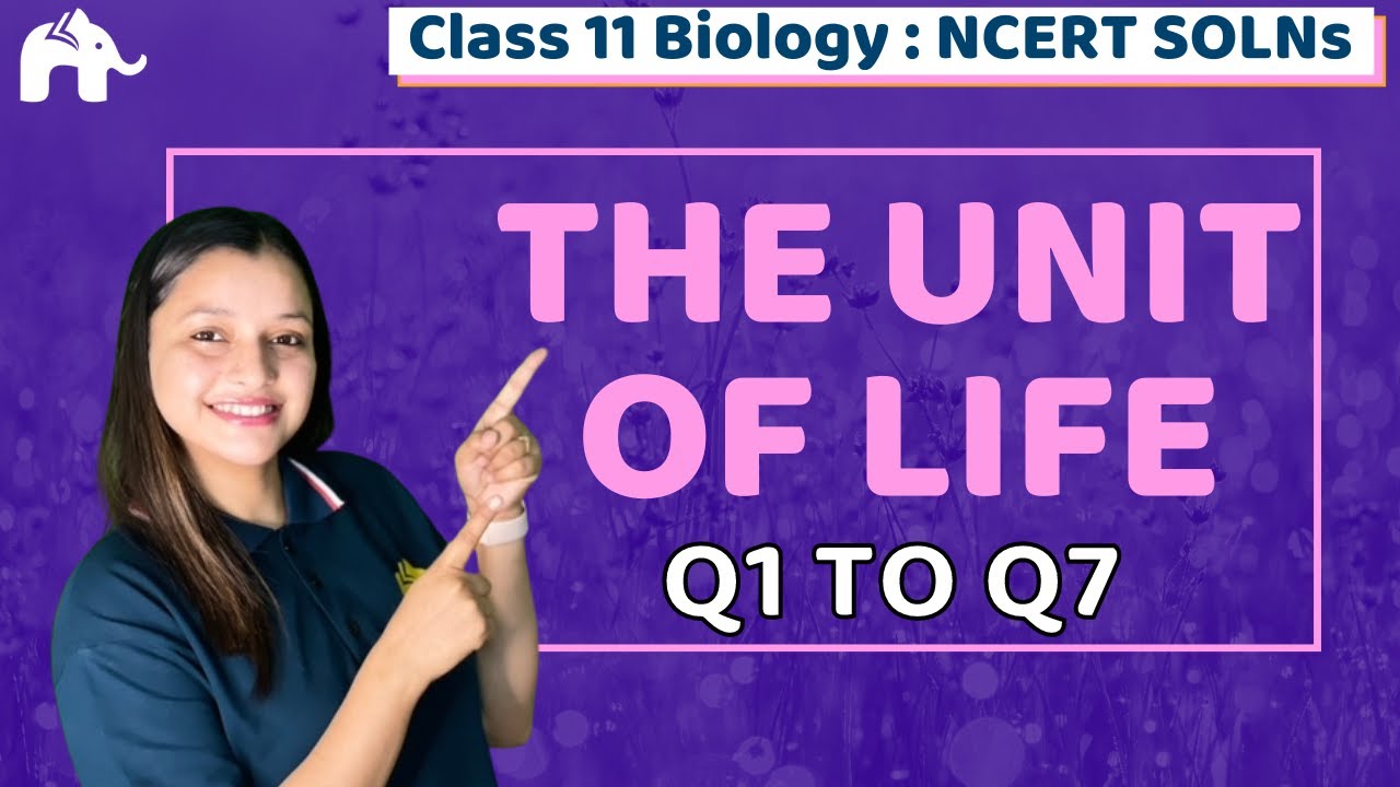 Cell: The Unit of Life Class 11 Biology | Chapter 8 NCERT Solutions  Questions 1-7 NEET CBSE