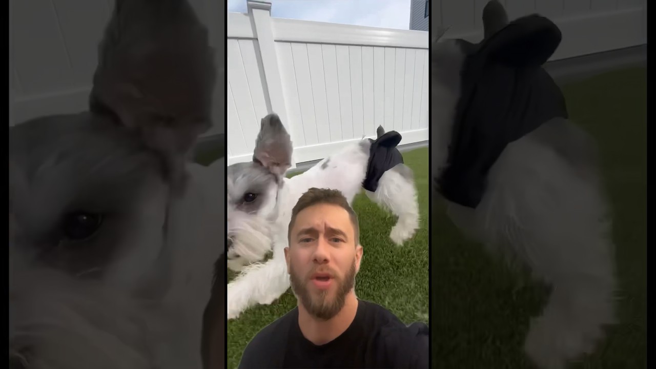 Why a Proper Base Matters for Artificial Turf Installation