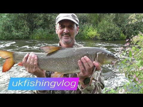 BARBEL FISHING RIVER DON YORKSHIRE - VIDEO 56