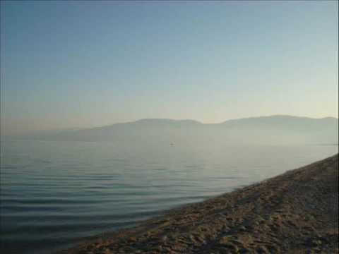 secede - friday fall