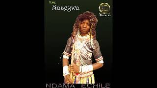 NDAMA ECHILE   NASEGWA (Official Audio ) by Lwenge