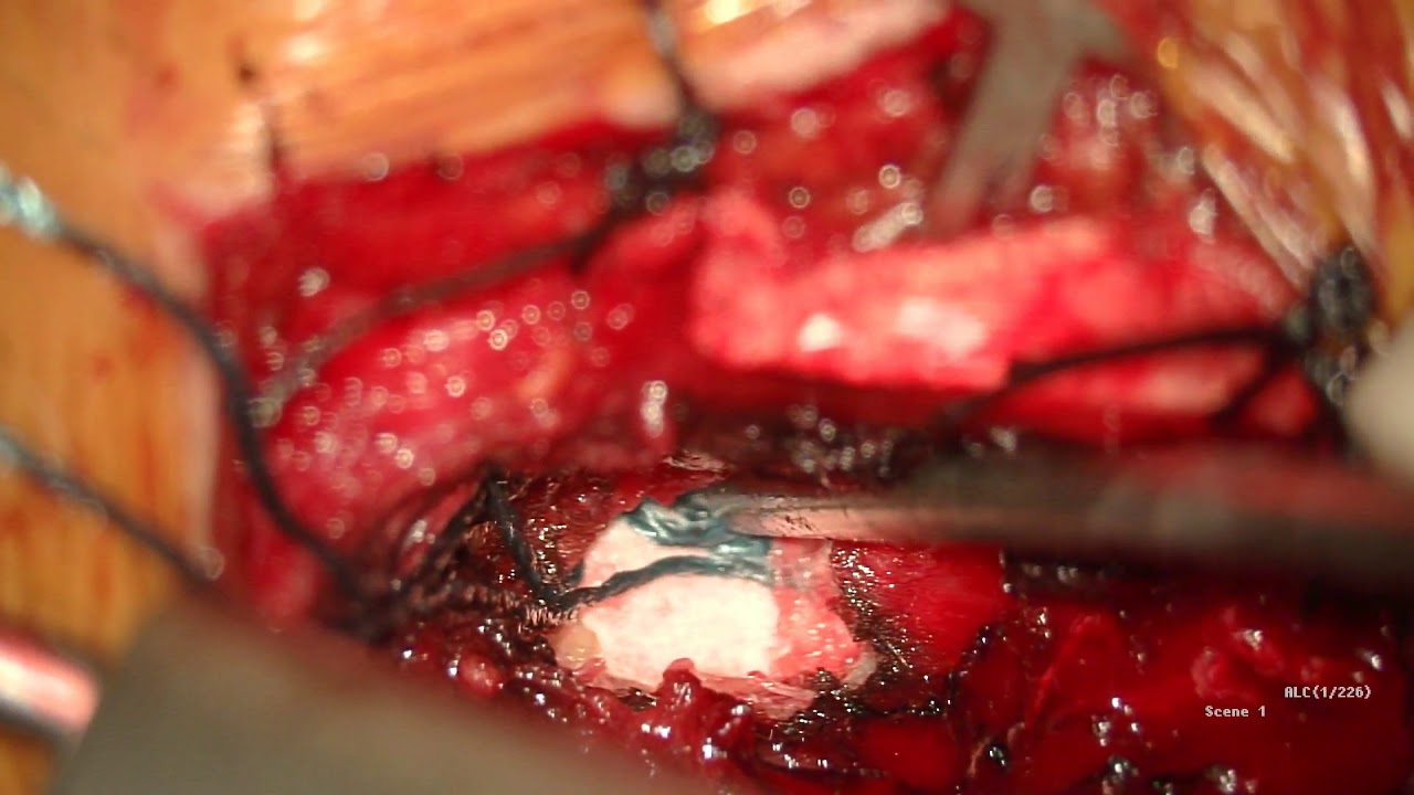 Jose Vicente Vasconez Fabre-26