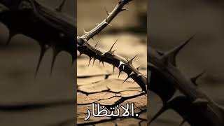 مستقبل أفضل في انتظارك – اخرج من غزة وابدأ حياة جديدة (הרב אברהם מלמד) - התמונה מוצגת ישירות מתוך אתר האינטרנט יוטיוב. זכויות היוצרים בתמונה שייכות ליוצרה. קישור קרדיט למקור התוכן נמצא בתוך דף הסרטון