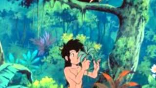 IL LIBRO DELLA GIUNGLA SIGLA.