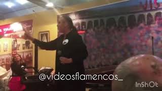 Niña Pastori cantando por Fandangos | 2019