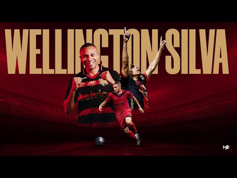 Wellington Silva 2024