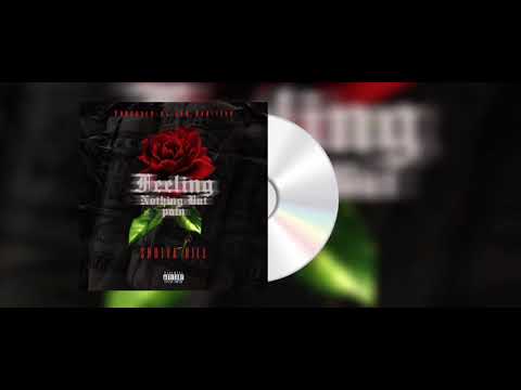 Shotta Bill - Feeling  Nothing But Pain (Official Audio)
