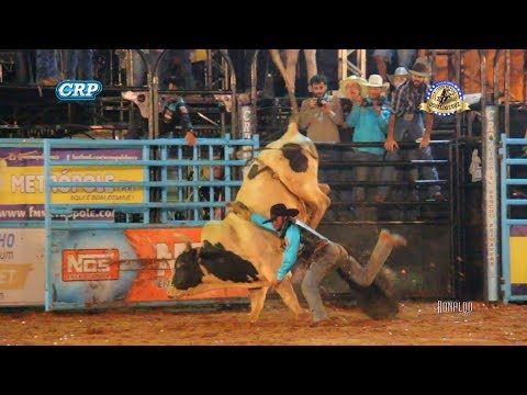 Rodeio de Osvaldo Cruz 2017 - MELHOR TOURO / PONTO FRACO (CIA. TERCIO MIRANDA)