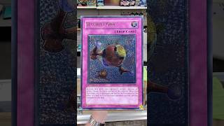 This Yu-Gi-Oh! Shop Had NO IDEA What They Had 😳