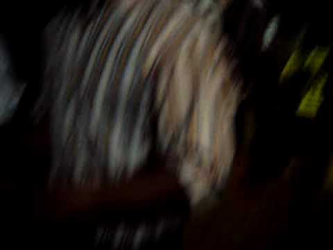 Casamento na fasenda - a noiva joga um sapo!