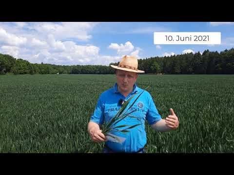 Pflanzenbau Aktuell - 10.06.2021