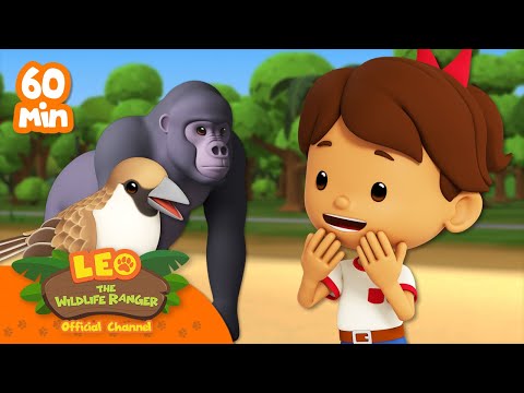 Witness21  2023 06 04