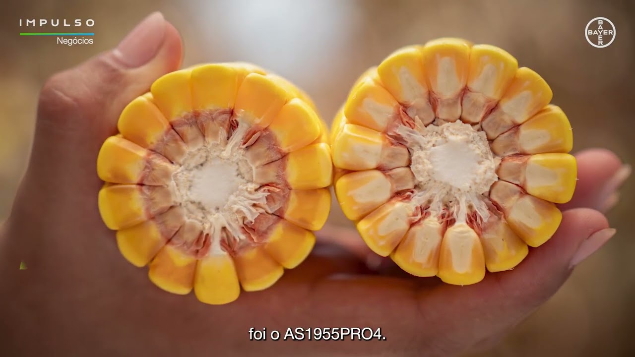 GETAP: Produtividade em Destaque | Impulso Negócios 200