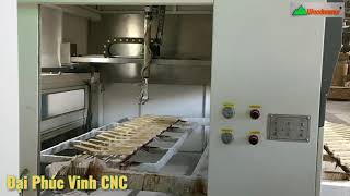 Máy sơn tự động Woodmaster | giải pháp công nghệ thay thế thợ sơ PU