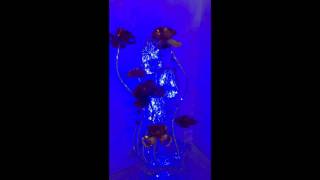 File Mar 13, 5 42 01 PM