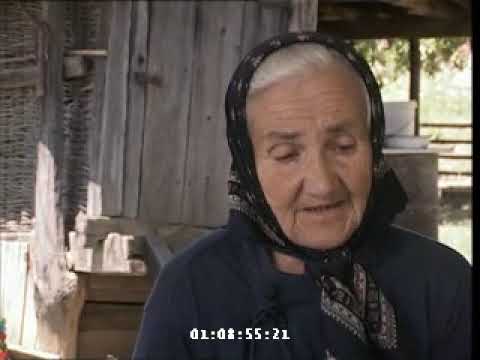 Svjedočanstvo - Draginja Grujčić