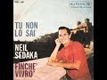 Tu Non Lo Sai - Neil Sedaka