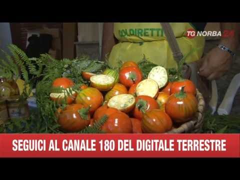 TGNORBA 24 - 13/08/2013