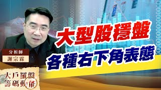 大型股穩盤 各種右下角表態 (圖)