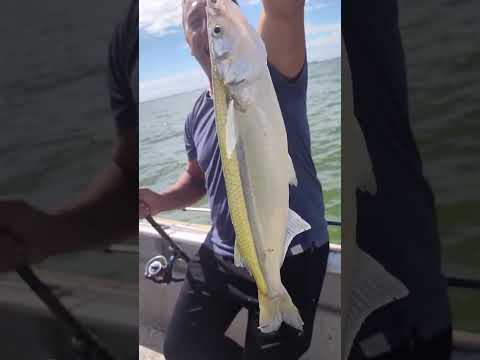 Excelente pesca en Monte Guamini guia EL PATA @juanmanuel.bermejo tel +54 9 2923 57-1118.