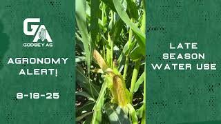Agronomy Alert! 8-18-25