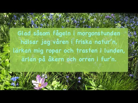 Valborgssång: Vårsång - Glad såsom fågeln (med text)