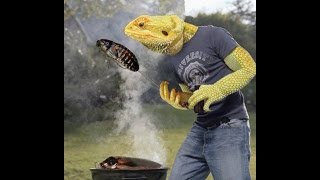 A short clip of me cleaning at night.