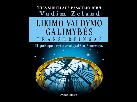 Ryto žvaigždžių šnaresys | 2/5 Pakopa | "Likimo Valdymo Galimybės. Transerfingas" | Vadim Zeland