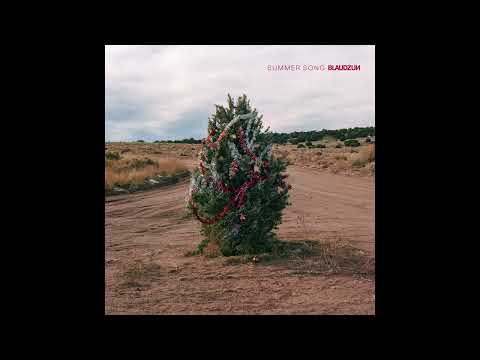 Summer Song - Blaudzun