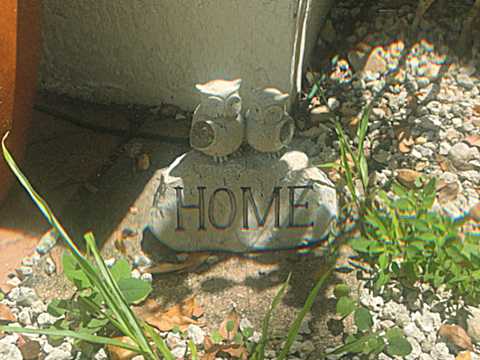 HOME.mp4