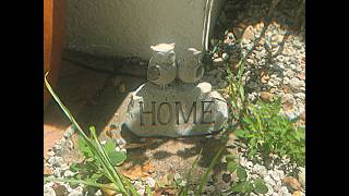 HOME.mp4