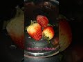 Strawberry Milkshake Shorts Short Shake Strawberry Youtube Loveforberries