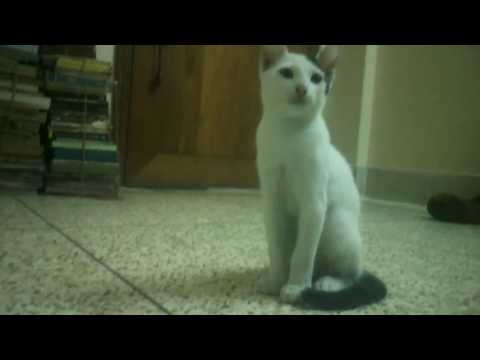 OMG That girl kissed me...!!!!