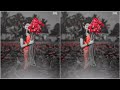 Athi Kaalai Kaatre Nillu WhatsApp Status ️ Ilayaraja ️ S Janaki ️ Anto Creations ️