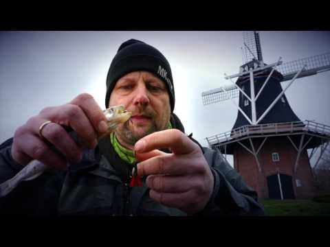 Balzer Kurzclip Hechtmontage Pop up