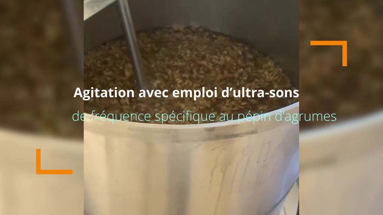 Extrait de pépins de pamplemousse : Comment le QUANTA EPP  Phytoquant est  produit 