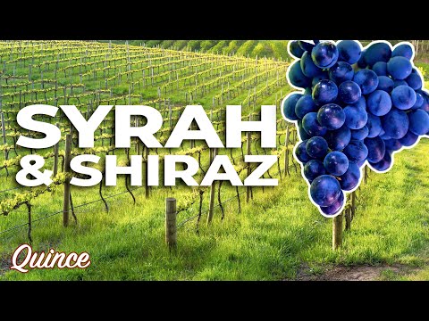 Syrah vs. Shiraz: What's The Difference?