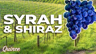 Download lagu Syrah vs. Shiraz: What's The Difference? mp3