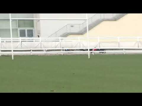 2022.12.17. 02. futam - Mester Tréner Díj