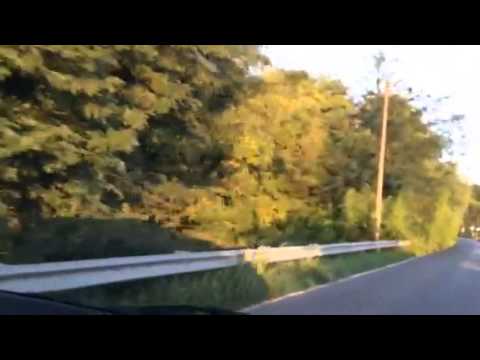 Urgente. La strada che porta al Bosco ex Parmigiano