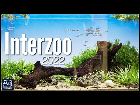 Interzoo 2022 (Neuheiten & Highlights der Aquaristik) | AquaOwner