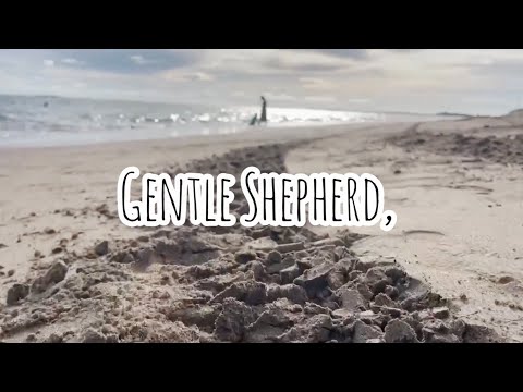 Gentle Shepherd - Abiding Word