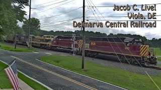 Viola Delaware, RailCam LIVE live webcam