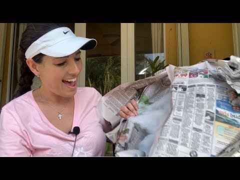 Orchid Unboxing, Carmela Orchids, Big Order, Quarantine Style
