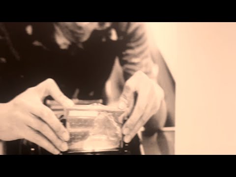 La Dispute - "Environmental Catastrophe Film"