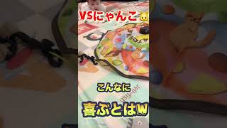 猫用おもちゃでウキャキャ👶w #赤ちゃん