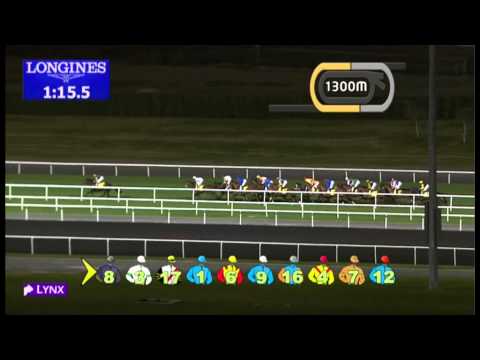 17.01.2013 Meydan (Dubai-UAE) 6.Race Dubai Duty Free Full Of Surprises - 2.410 m