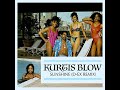 Kurtis Blow - “Sunshine (D-Ex Remix)” - Divine Existence Kurtis Blow - “Sunshine (D-Ex Remix)”